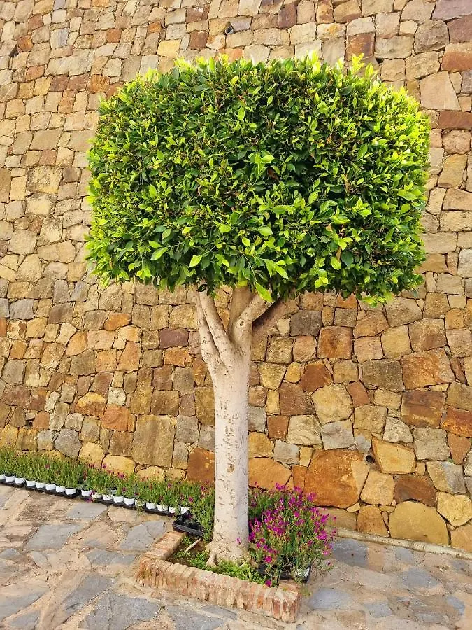 Apartment In Marbella, Eagles Village. La Quinta. Benahavis